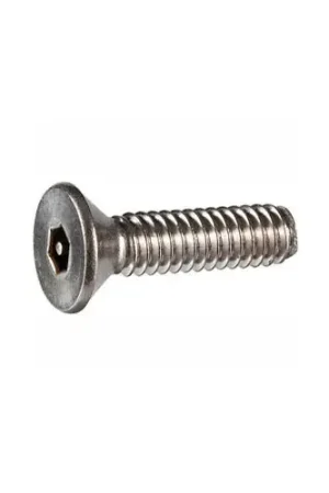 Secure Checkout 6-32 x 3/4" Security Machine Screw - Flat Hex Socket Head - 302HQ/18-8 Stainless Steel - FT - 100 Pk