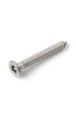 Mega Sale 10AB x 2-1/2" Security Sheet Metal Screw - Flat Hex Socket Head - 302HQ/18-8 SS - USA - 100 Pk