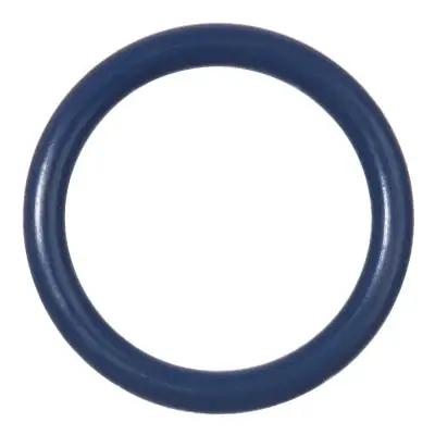 Express Delivery Blue Viton O-Ring 0.864" ID x 0.070" Wide AS568-020 75 Durometer (30/Pkg.)