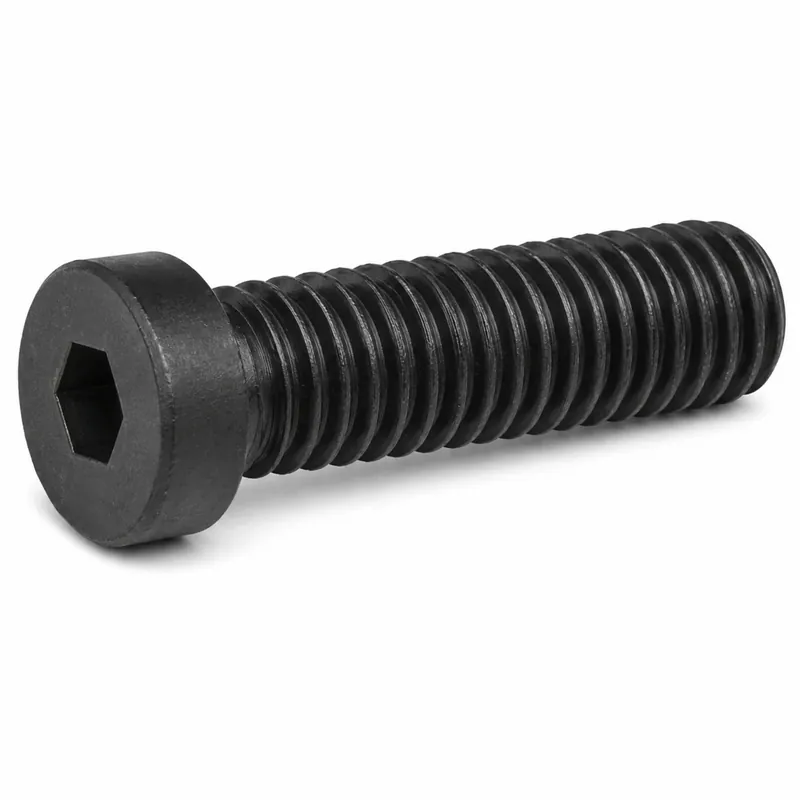 Instant Buy HOLO-KROME 69504 M10-1.5 X 16mm Socket Cap Screws Low Head Hex Socket Drive Alloy Steel Thermal Black Oxide (100 / Pkg.)