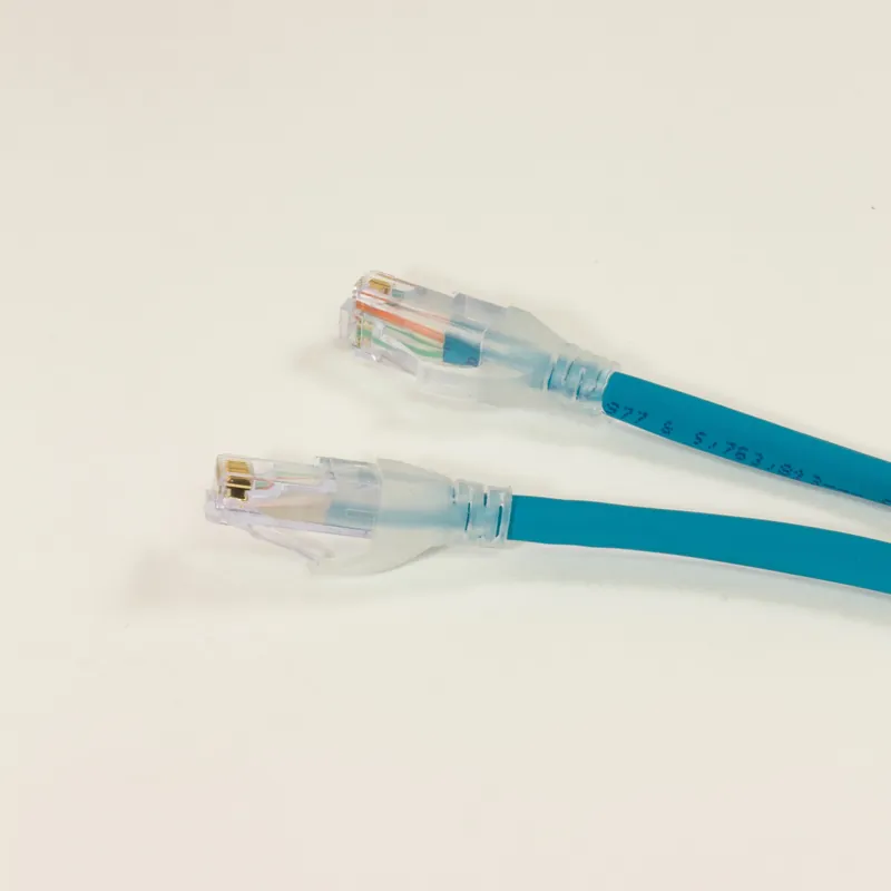 OBSOLETE - Alpha Connect Ethernet Cordset - RJ45 Male to RJ45 Male - 24AWG 2 Poles - QR04QR117 - Teal - 0.6M (1.97ft) Get Yours