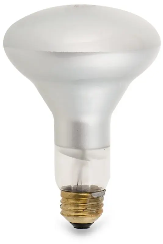 Philips BR30 Dimmable Flood Led Light Bulb Clearance