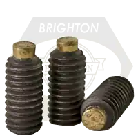 Buy Online M6-1.00 x 20 mm Socket Set Screws, Brass-Tip, Plain Finish, Coarse (UNC), Alloy Steel, Qty 100