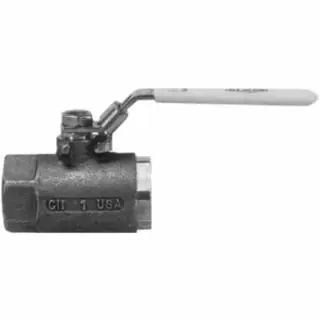 Dixon Valve SSBV50 1/2 Ss Ball Valve (10 EA) Limited Offer