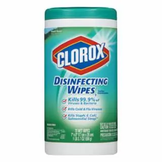 Buy Direct Clorox CLO01656 Clo01656 Disinfectant Clorox Wipes Ct/450 (1 CT)