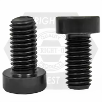 M6-1.00 x 16 mm Low Head Socket Cap Screws, Metric Class 8.8, Plain Finish, Full Thread, DIN 7984, Qty 100 Exclusive Offer
