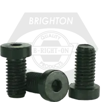 Secure Checkout 8-32 x 1/4" Low Head Socket Cap Screws, Thermal Black Oxide, Coarse (UNC), Alloy Steel, Qty 100