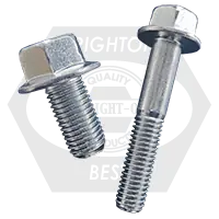 M6-1.00 x 16 mm Hex Flange Bolts, Metric Class 10.9, Type 2, Zinc Cr+3, Full Thread, JIS B1189, Qty 300 Express Delivery