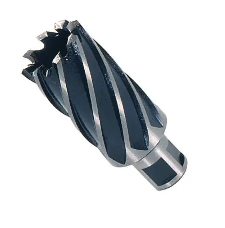 Time-Limited 7/8" x 1" M2 HSS Annular Cutters for Magnetic Drill Bit (Inch), Qty 1