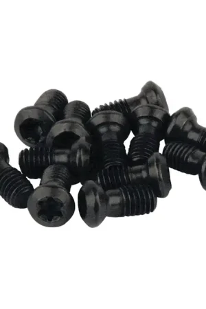 Budget TERRA CARBIDE - EVM2.5, Torx® Screw, 01-0478-19