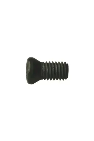 While Supplies Last WALTER - PT-546T, Torx® Screw, 52290