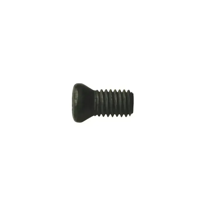 While Supplies Last WALTER - PT-546T, Torx® Screw, 52290